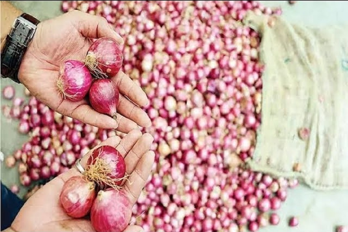 प्याज के दाम में न लग पाए टमाटर की तरह आग इसलिए मोदी सरकार ने उठाया यह बड़ा कदम, क्या होगा असर पढ़े