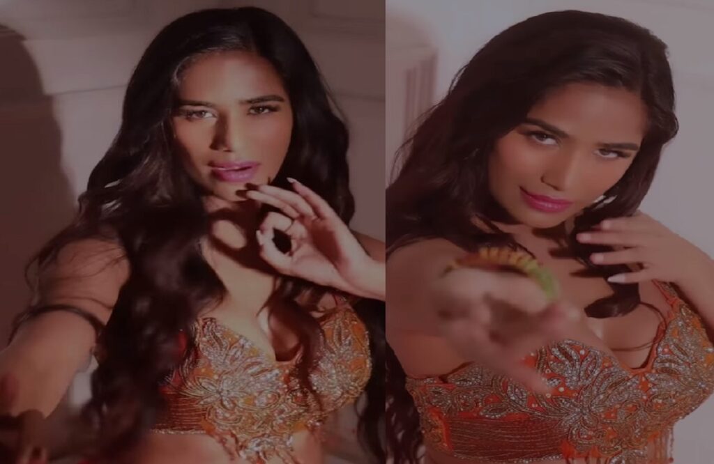 Poonam Pandey New Sexy Video