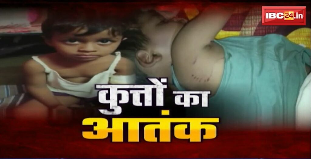 Terror of Stray Sogs in Raipur