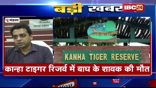 Mandla के कान्हा टाइगर रिज़र्व में बाघ के शावक की मौत। बाघ प्रबंधन ने किया अंतिम संस्कार।देखिए..