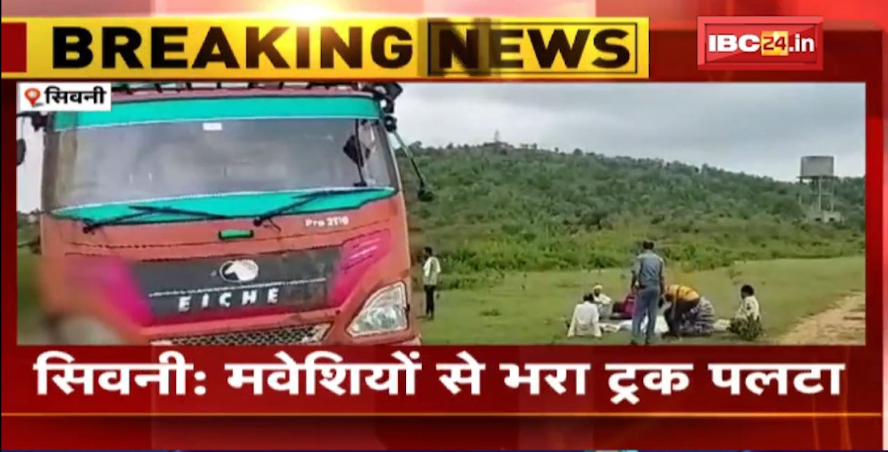 Seoni में पलटा मवेशियों से भरा ट्रक। हादसे में 13 मवेशियों की मौत। ट्रक का ड्राइवर मौके से फरार। देखिए..