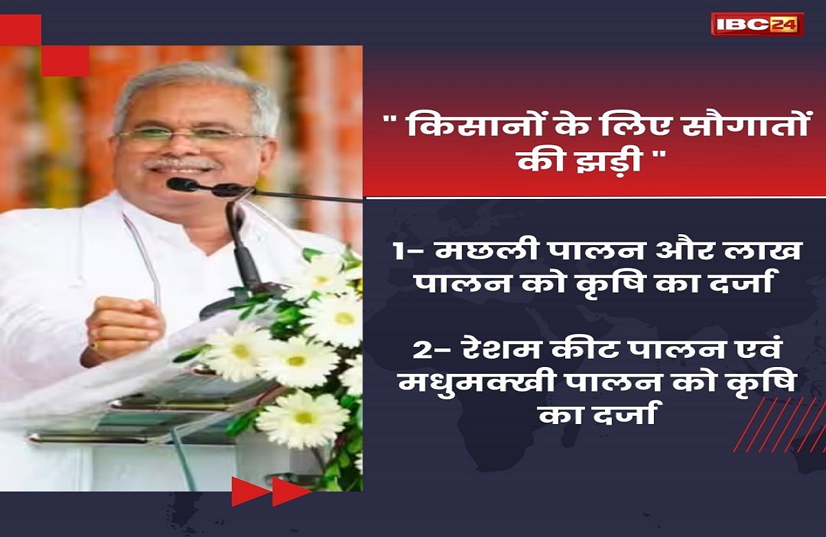 स्वतंत्रता दिवस पर सीएम भूपेश बघेल की बड़ी घोषणाएं, किसानों के लिए लगाई सौगातों की झड़ी….