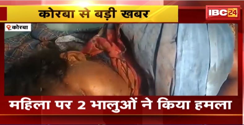 Korba में महिला पर 2 भालुओं ने किया हमला। पालतू कुत्ते ने बचाई महिला की जान। देखिए..