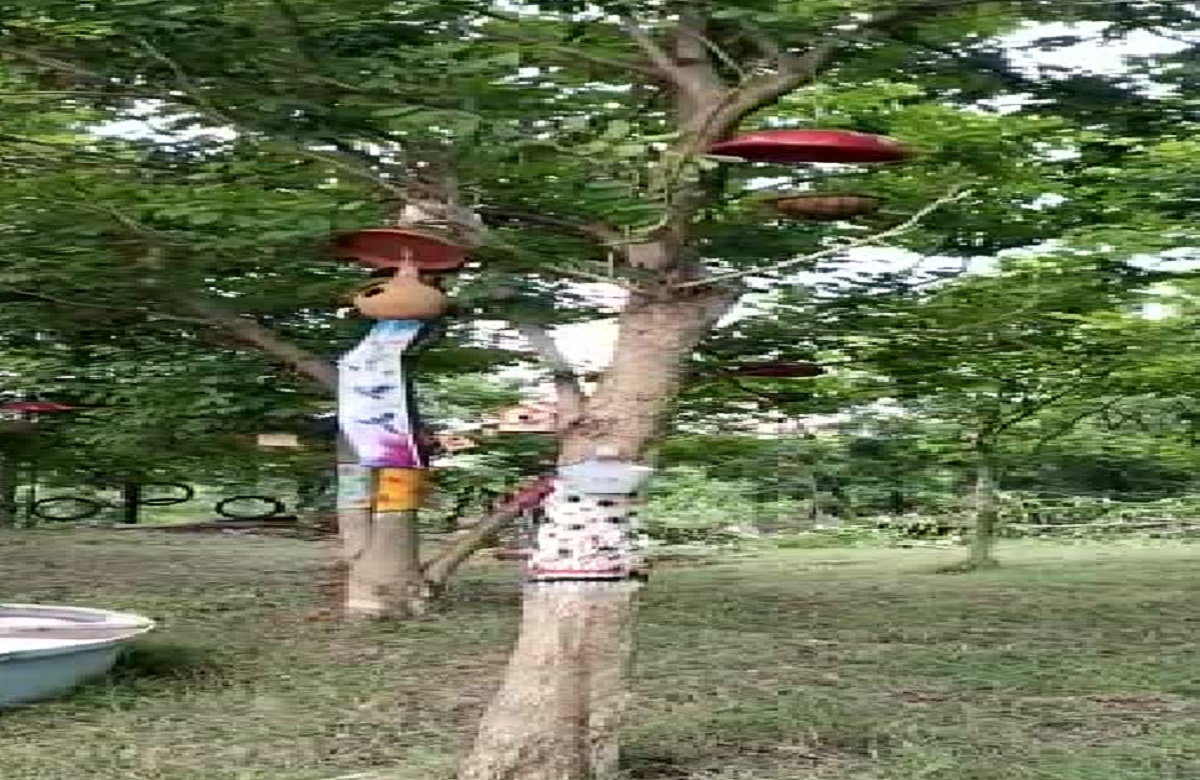 Ashoknagar News: पक्षियों के लिए बनाया वेलकम बर्ड आशियाना पार्क, स्थानीय लोगों के इस पहल की हुई सराहना