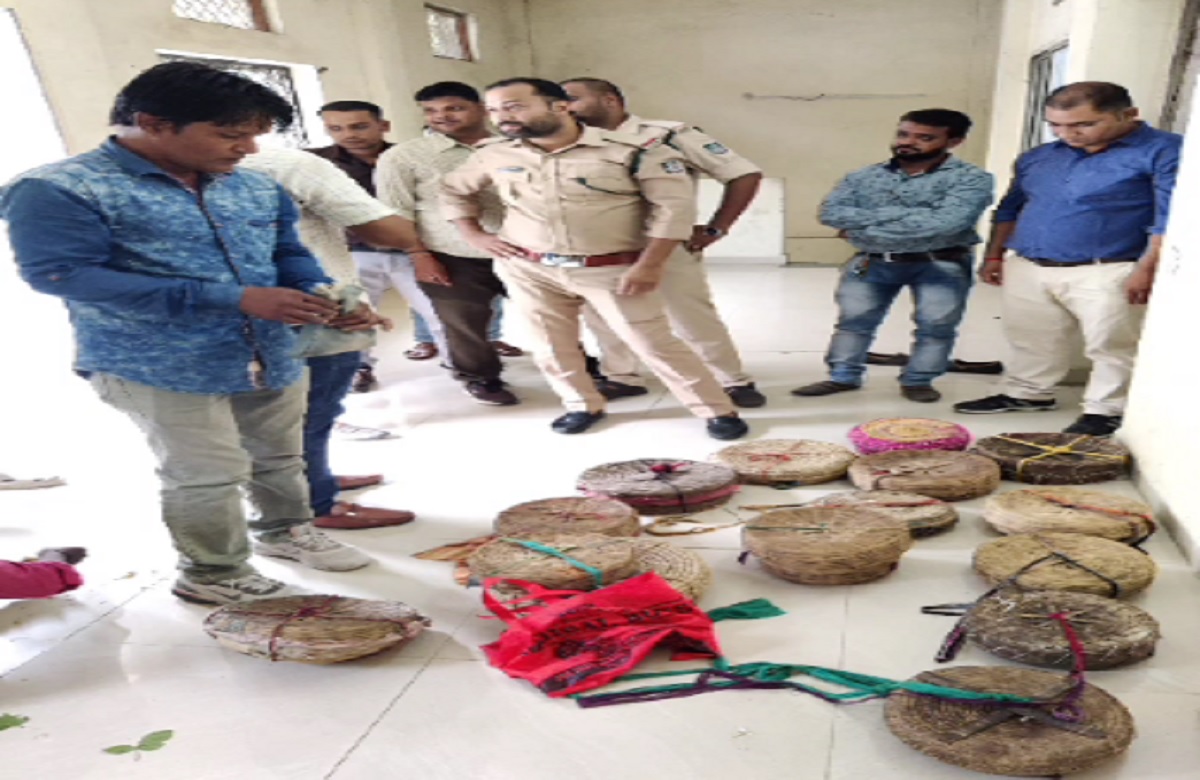 Bhopal News: दुर्लभ प्रजाति के 19 जहरीले सांपों के साथ क्रूरता करते पकड़ा गया सपेरों का गैंग, अंतरराष्ट्रीय बाजार में करोड़ों की है कीमत…