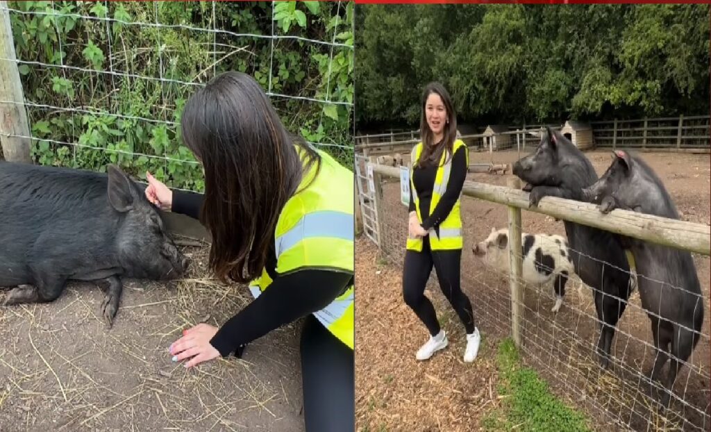 Sara Tendulkar had fun with pigs