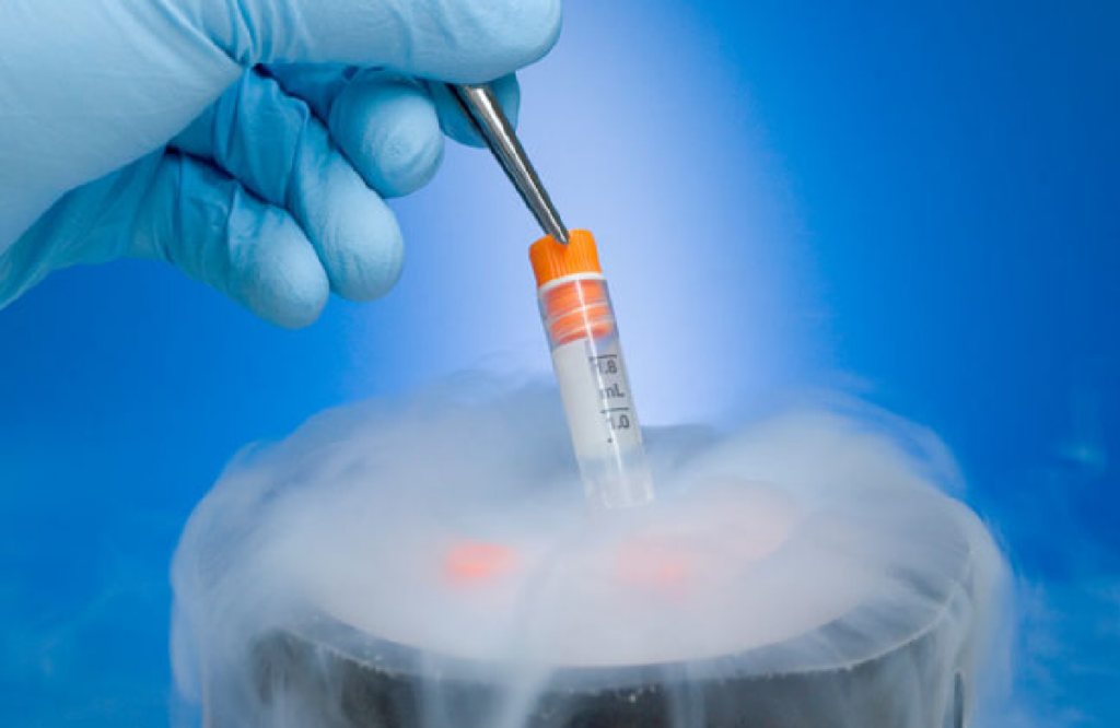 Girls freezing their eggs before marriage so that they can have children in future