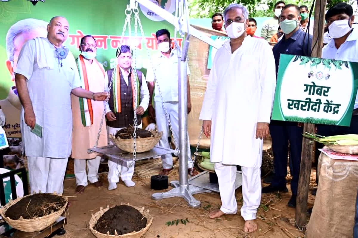 Nyay Yojana : दाऊजी के राज म गरीब घलो बनिस धनवान, अब तो नीति आयोग घलो कथे- कका के सरकार…आगे बढ़त हे लइका अउ सियान