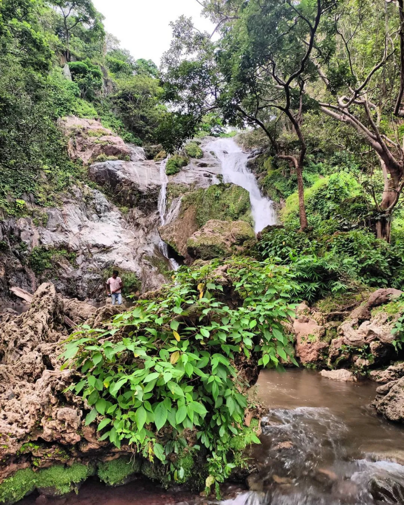 वाटरफॉल का खूबसूरती बारिश में ही दिखाई देता है जब वाटरफॉल अपने संपूर्ण रूप में होता है उसी तरह रानीदहरा वाटरफॉल बारिश में और भी सुंदर दिखाई देता है चार भागो में गिरता यह वाटरफॉल आने वाले लोग को मंत्र मुग्ध कर देता है।