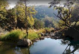 रानीदहरा जलप्रपात पहुंचने के लिए आप को लगभग 40 से 50 सीढ़ी चढ़ना होता है।पर्यटकों के लिए रानीदहरा वाटरफॉल आकर्षण का केंद्र रहा है। भोरमदेव अभयारण्य के घने जंगल और ऊंचे पहाड़ों के बीच स्थित रानीदहरा जलप्रपात सावन महीने में अपने पूरे शबाब पर है।