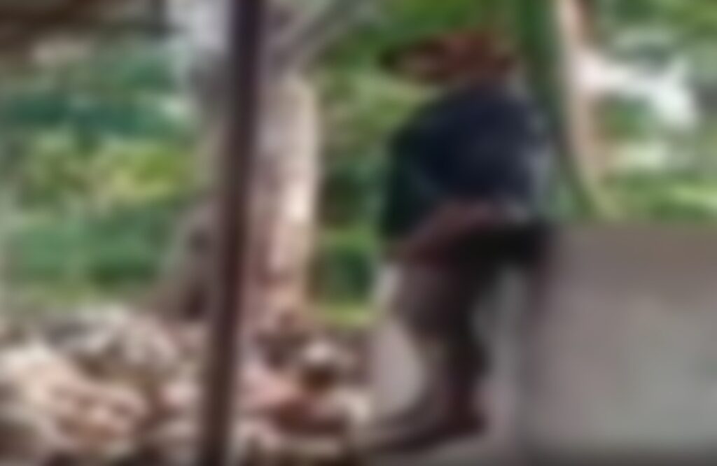 dead body of the youth