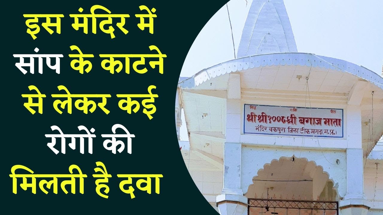 Tikamgarh जिले के प्रसिद्ध Bagaj Mata मंदिर, जहां विष से ग्रसित मरीज़ों का होता है उपचार..