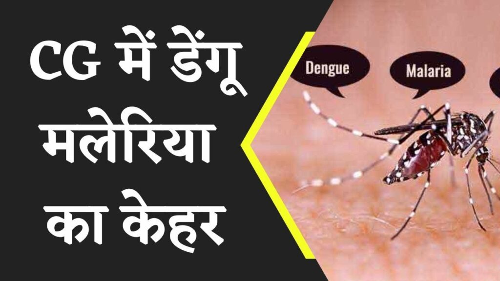 Dengue Maleria cases in chhattisgarh