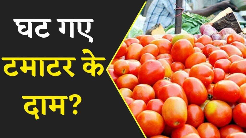 vegetables price in chhattisgarh