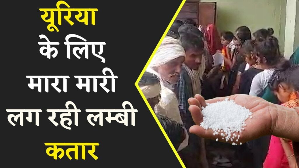 queues for urea in MP