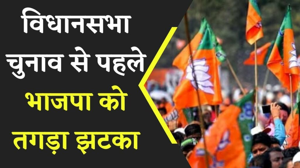 BJP leaders joined Congress