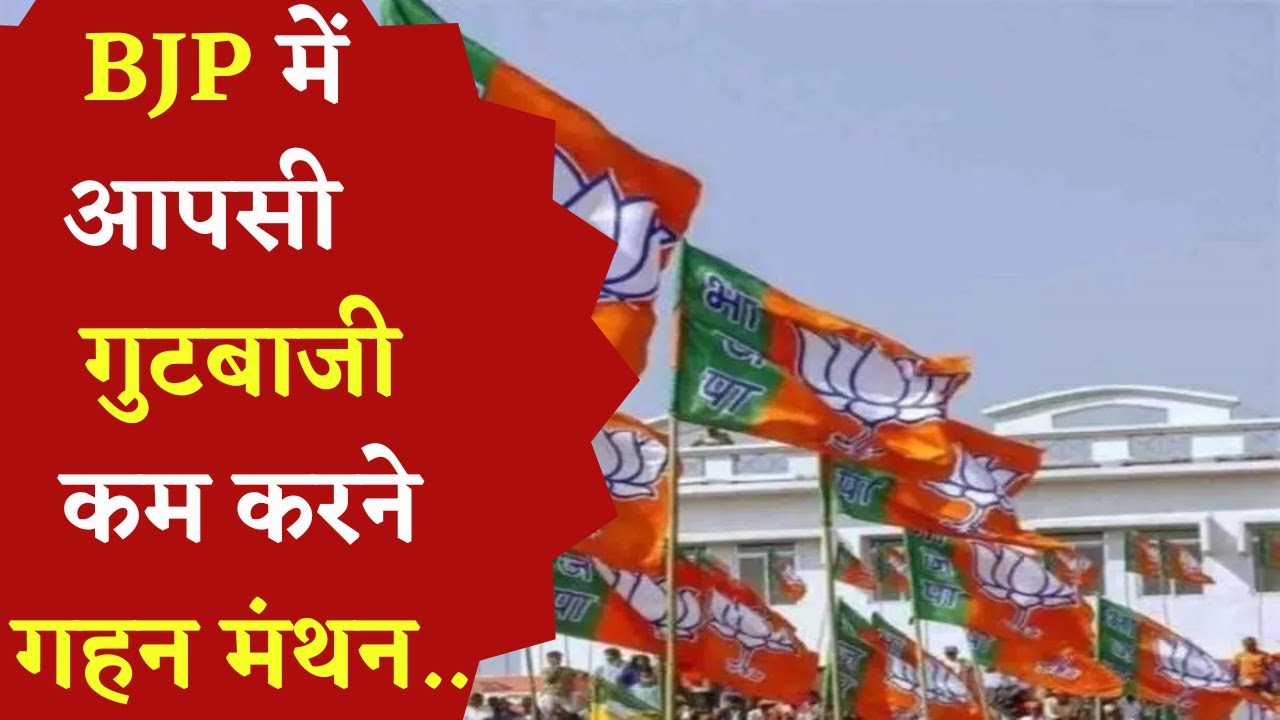 CG Election2023 : BJP में अंदरूनी गुटबाजी दूर करने दिग्गज नेता कर रहे हैं गहन मंथन |