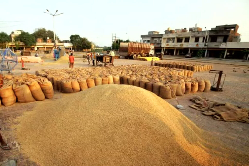 Date of paddy purchase In Chhattisgarh
