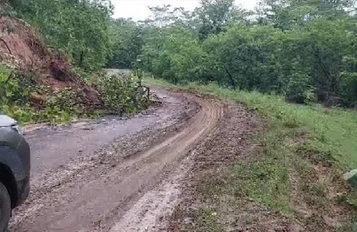 Pendra News: भारी बारिश के चलते सड़क पर आ रहे पहाड़ के मलबे, कभी भी हो सकता है बड़ा हादसा, प्रशासन ने की लोगों से ये अपील