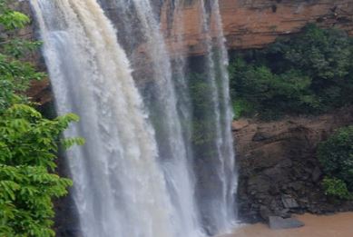 कई पर्यटक और स्थानीय लोग तीज त्योहारों में पिकनिक मनाने अपने दोस्तों और परिवार के साथ पहुंचते हैं।