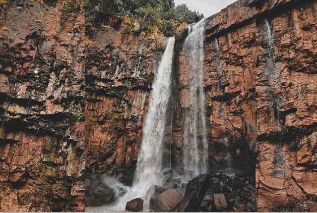 Tiger Point Falls: बंदरों की उछल कूद और कल- कल करता झरना मनमोहक दृश्य के साथ पर्यटकों को करता है आकर्षित, हर साल हजारों की संख्या में आते हैं पर्यटक