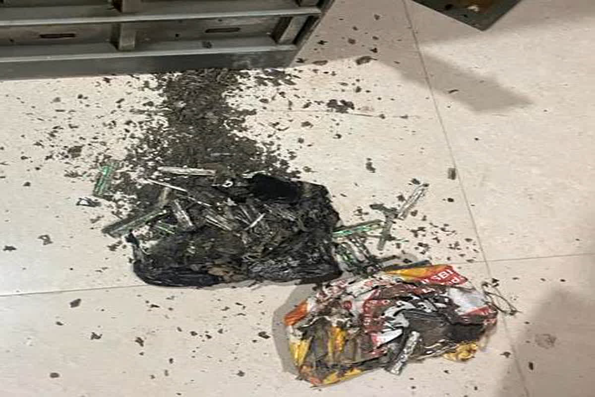 Termites Damage RS 18 Lakh: अगर लॉकर में जमा कर रहे पैसे तो हो जाएं सावधान, इस घटना के बाद आप भी पड़ जाएंगे सोच में…