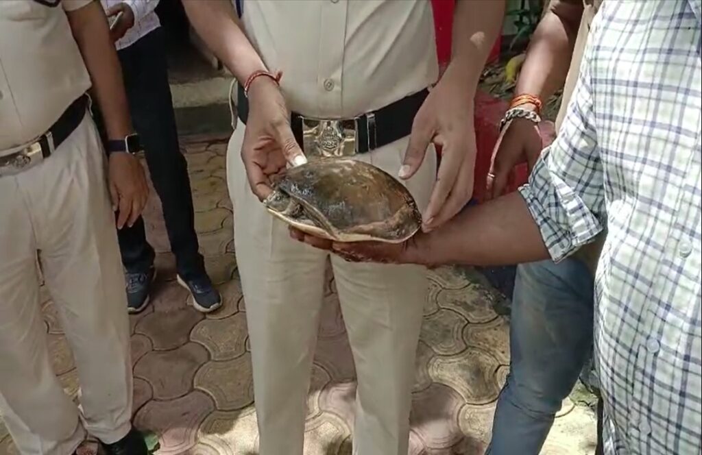 Rare species of tortoise found in AC coach of Amarkantak Express