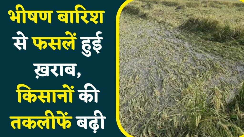 Bhainsdehi Legislative Assembly