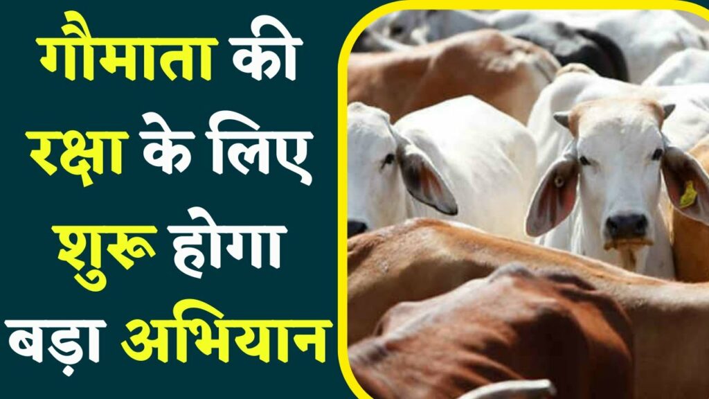 Chhattisgarh Cow Protection News
