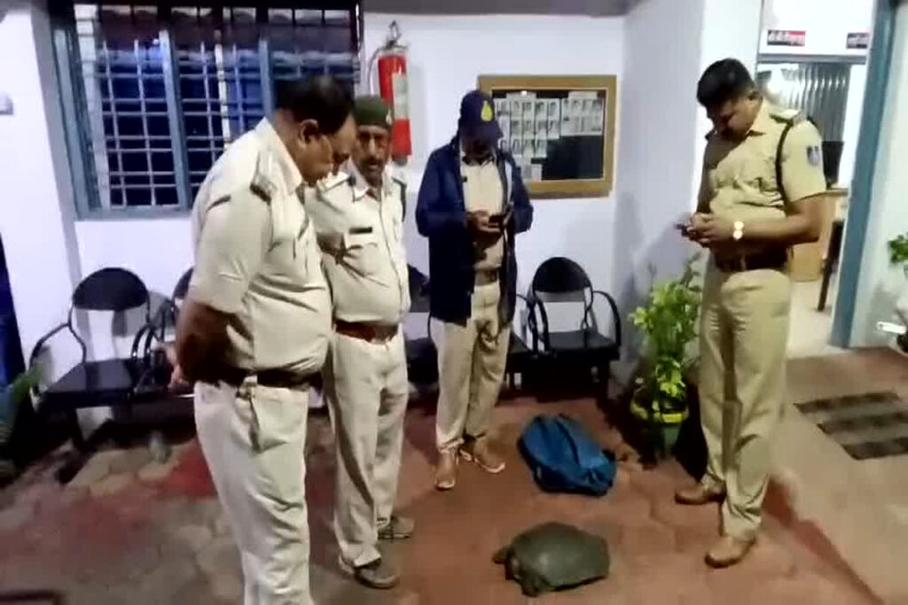 Police arrested turtle smuggler