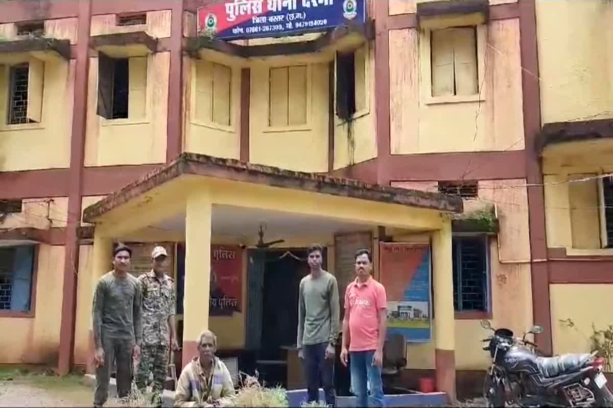 Jagdalpur News: किसान की बाड़ी में तैयार थी 5 लाख  गांजे की फसल, पुलिस ने दबिश देकर किसान को किया गिरफ्तार