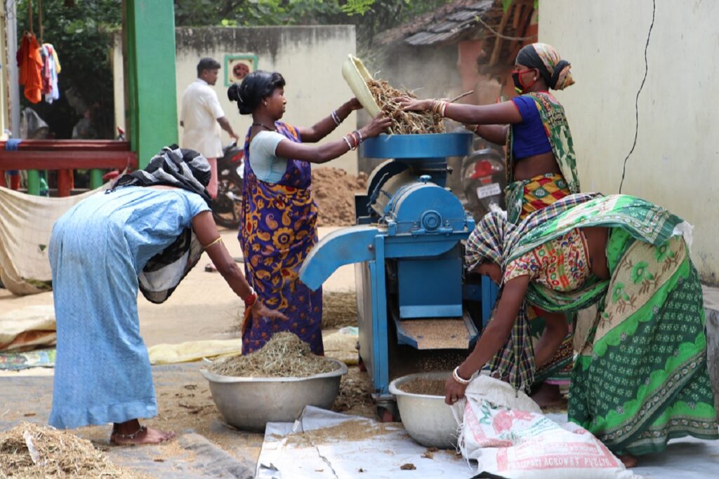 How To Start Organic Farming In Chhattisgarh