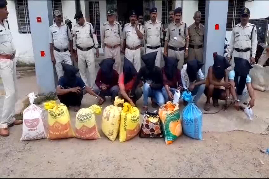 Looting Gang Arrested