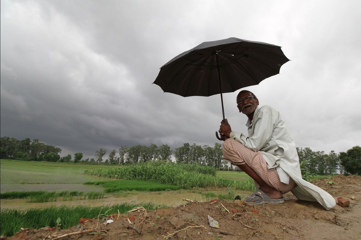 MP Weather News: फसलों को मिला ऑक्सीजन, झमाझम बारिश से खिल उठे किसानों के चेहरे, जानें आने वाले दिन कैसा रहेगा मौसम