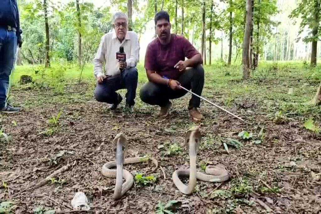 This village is known Nagalog