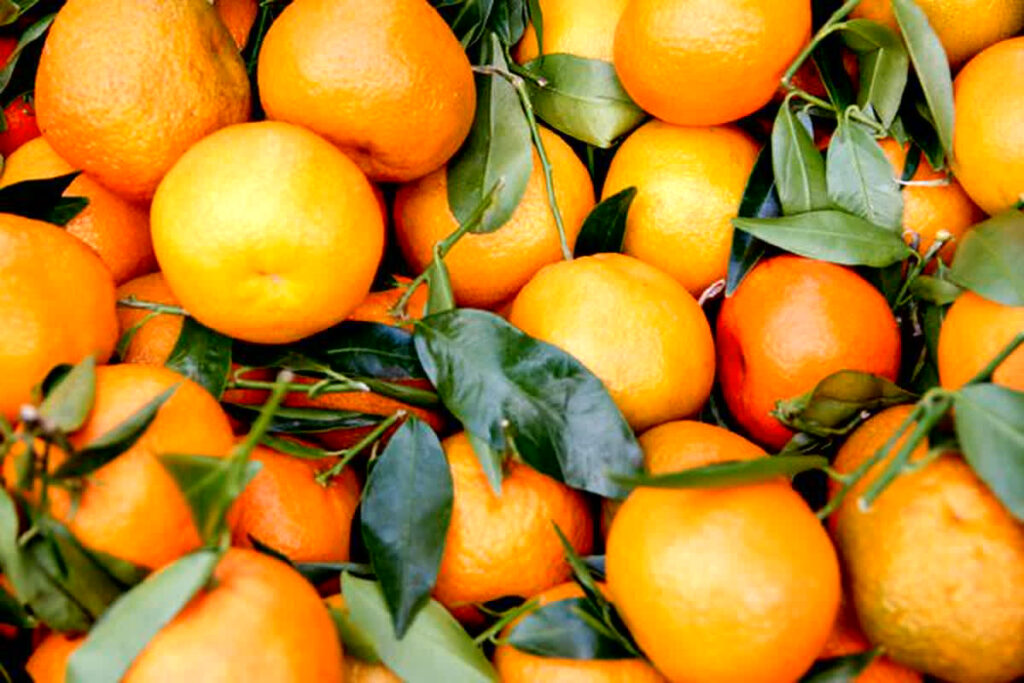 Benefits Of Eating Orange