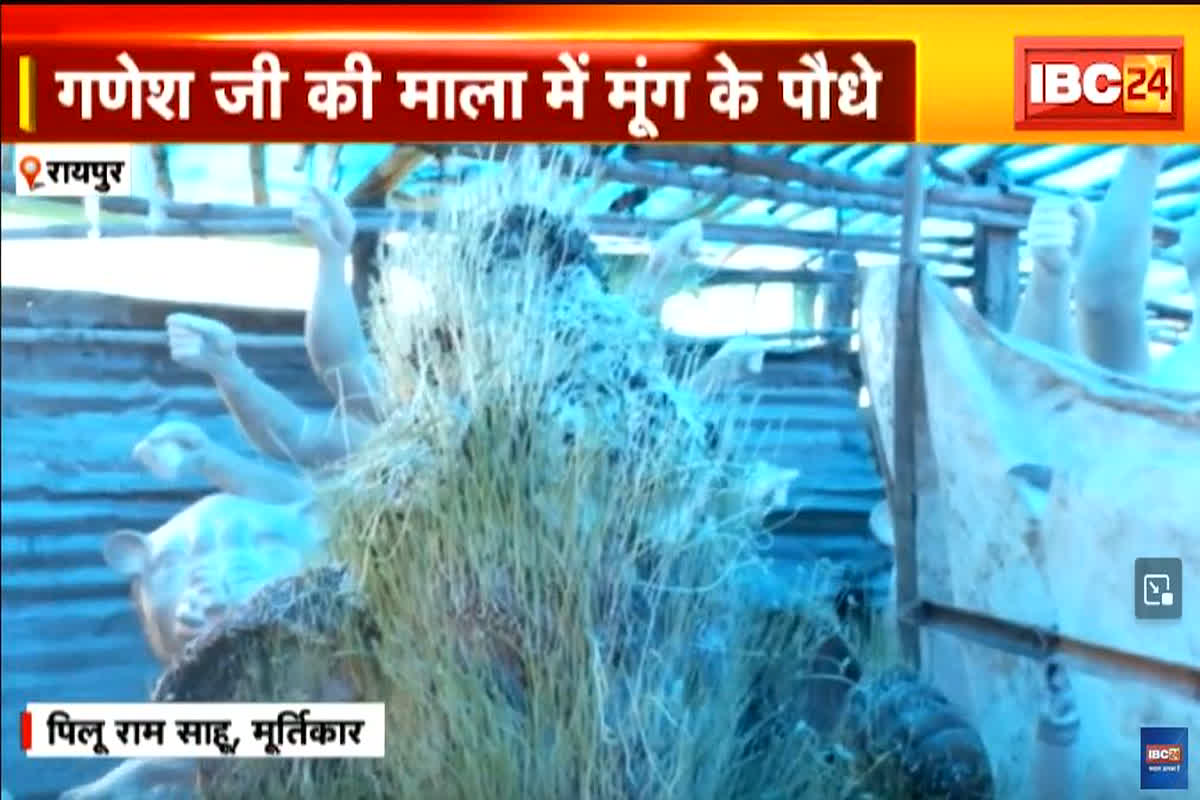 Organic Ganesh Ji: गले में मूंग के पौधे की माला…मुकुट में चने के पौधे…छत्तीसगढ़ के मूर्तिकार ने बनाई गणेश जी अनोखी प्रतिमा