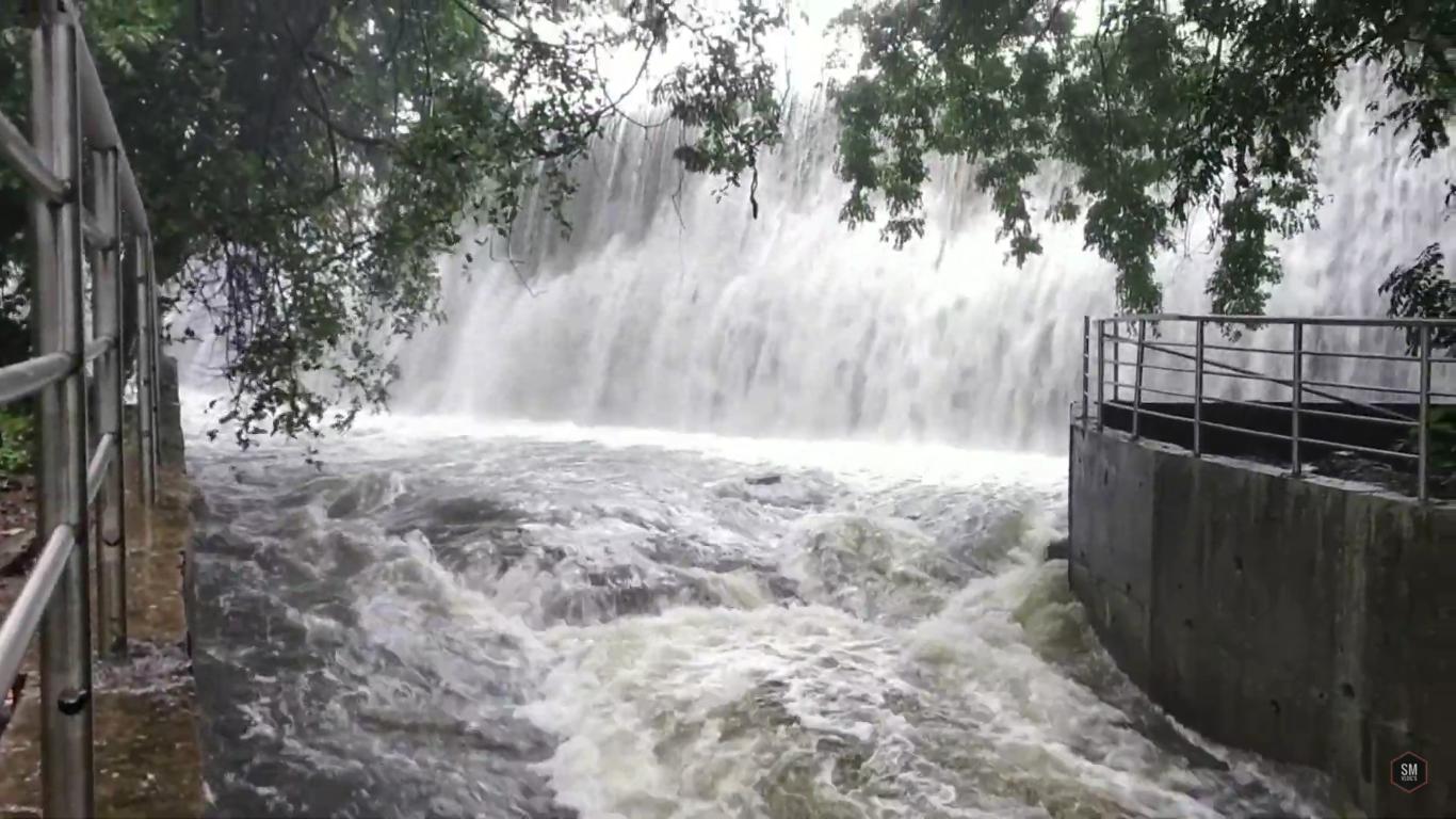 यहां छत्तीसगढ़ के अलावा पड़ोसी राज्यों के लोग भी पिकनिक मनाने आते है।
