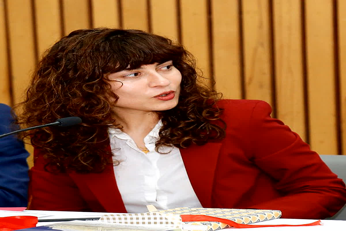 Prof. Divya Dwivedi on Sanatan Dharma : IIT दिल्ली की प्रोफ़ेसर ने सनातन धर्म को लेकर दिया विवादित बयान, कहा – हिंदुत्वविहीन होगा भारत
