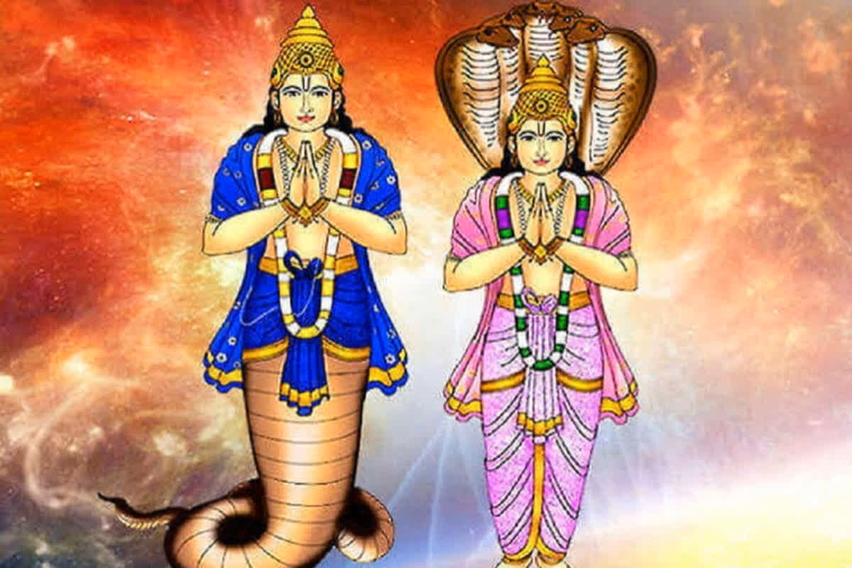 राहु-केतु गोचर से बदलेगी इन राशि वालों की किस्मत, व्यापार से लेकर नौकरी तक हर कार्य होंगे पूरे