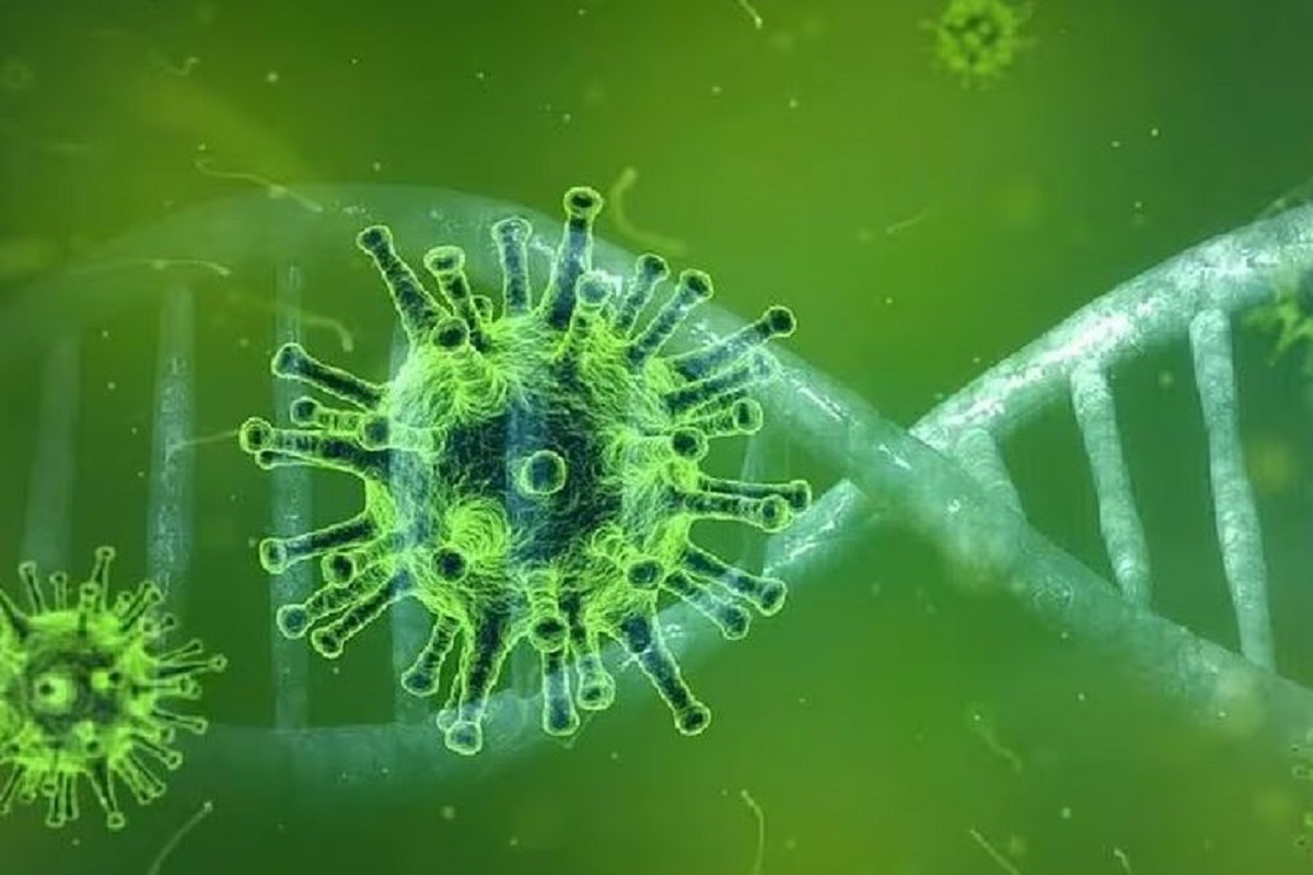Nipah virus : निपाह वायरस से संक्रमित दो लोगों की हुई मौत, ISMR ने कहा – कोरोना से भी ज्यादा खतरनाक है मृत्यु दर