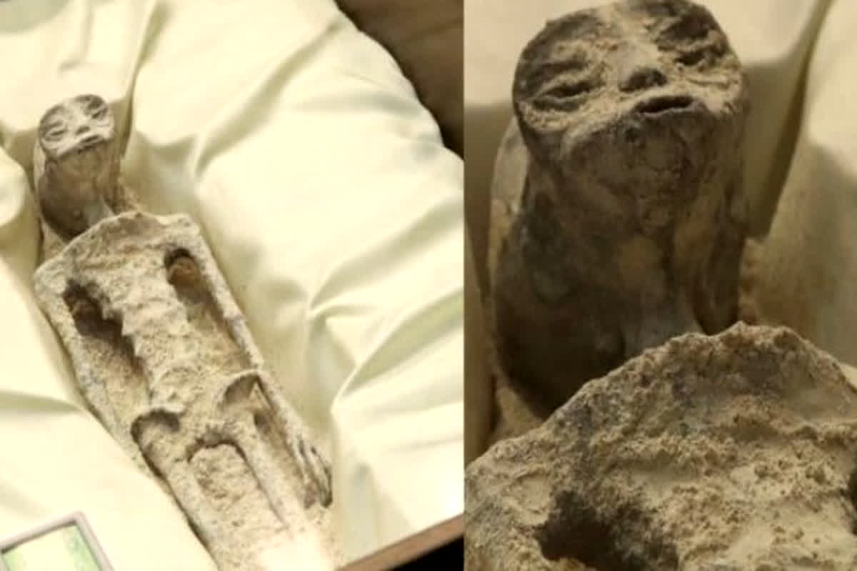Alien Corpses Video: ‘एलियन’ है या नहीं? मिल गया सवाल का जवाब! सदन तक पहुंचा 1000 साल पुराना तीन उंगलियों वाले ‘गैर मानव’ का कंकाल