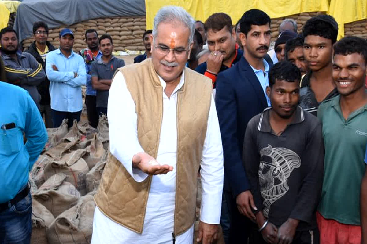 Paddy Price in Chhattisgarh: 4000 रुपए प्रति क्विंटल में होगी धान खरीदी? जानिए क्या कहते हैं भूपेश सरकार के मंत्री