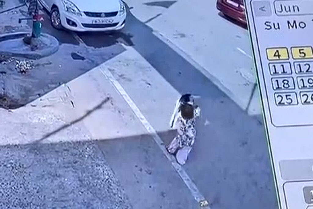 Video of dog attack on innocent girl