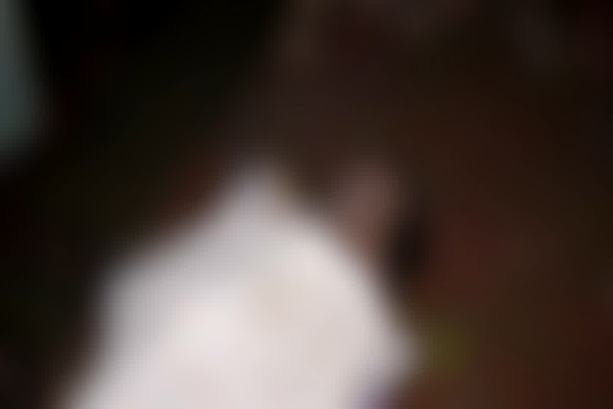 Saranggarh News: गणेश विसर्जन करने के दौरान हुई युवक की मौत, सूचना मिलता ही जमा हुई लोगों को भीड़, ये है पूरा मामला