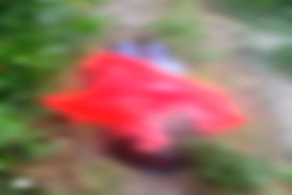 Woman Dies Hit By Lightning