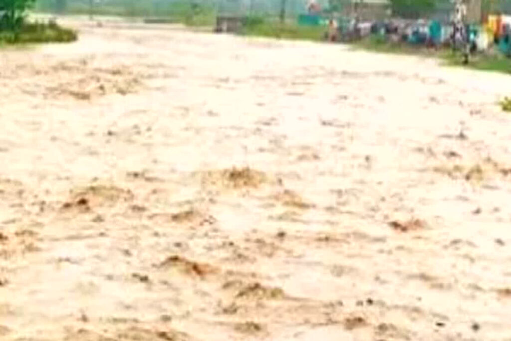 8 died Heavy rain in Jhabua