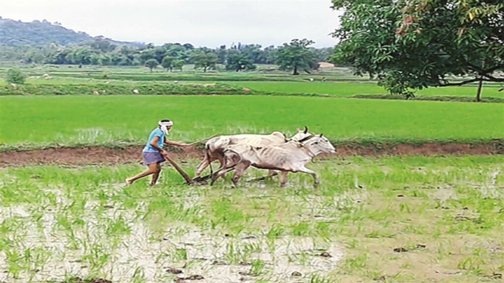 Kisan Karj Mafi Yojana 2023