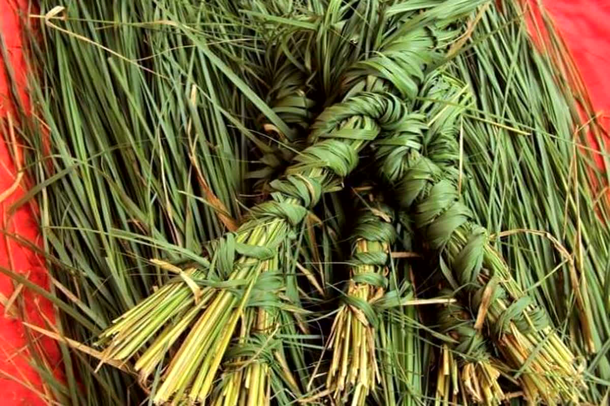 Pitru Paksha 2023: पितरों का श्राद्ध करते समय क्यों किया जाता है कुशा का उपयोग, जानिए किस उंगली में करते हैं धारण और इसका महत्व