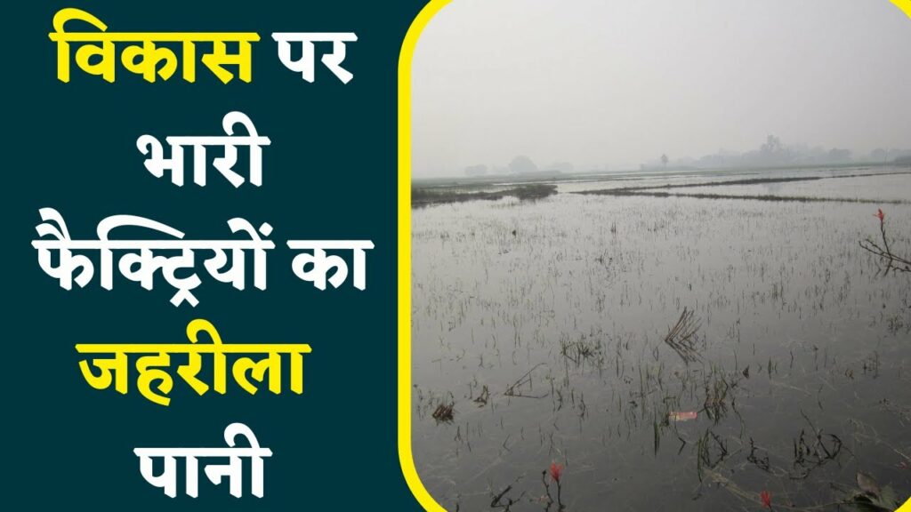 Poisonous water from the factory destroyed crops in morena